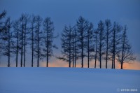 /album/%e3%83%95%e3%82%a9%e3%83%88%e3%82%ae%e3%83%a3%e3%83%a9%e3%83%aa%e3%83%bc/a1-33-jpg/